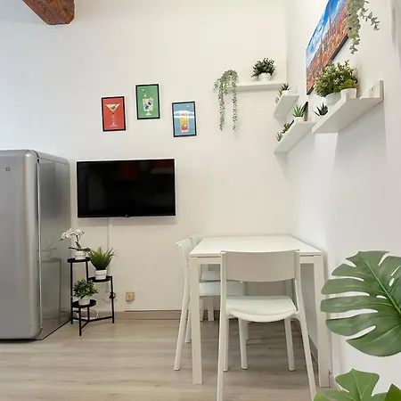 House Bolonia