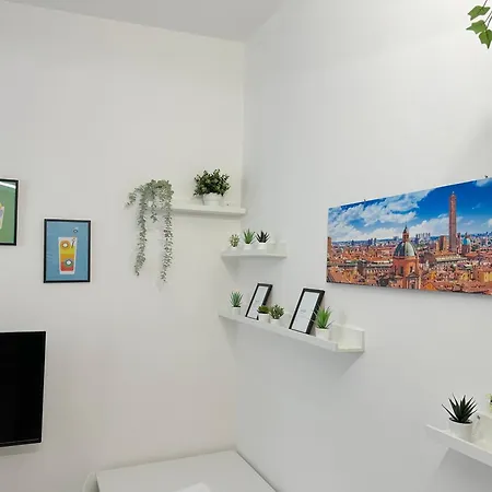 House Bolonia
